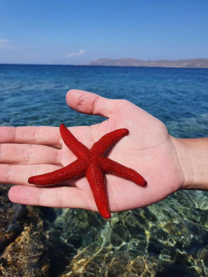 Sea Satin Sounio Apartman Szúnio Kültér fotó
